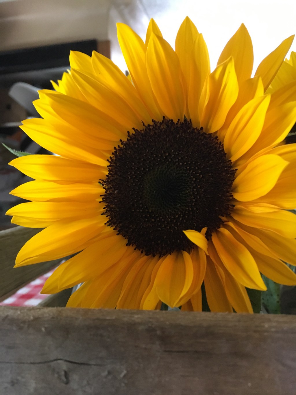 Norwex – Customer Appreciation Flash&nbsp;Sale