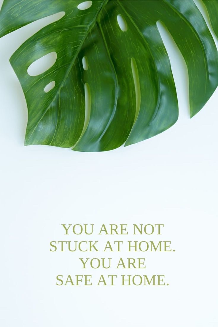 CDC – Centers for Disease Control and&nbsp;Prevention