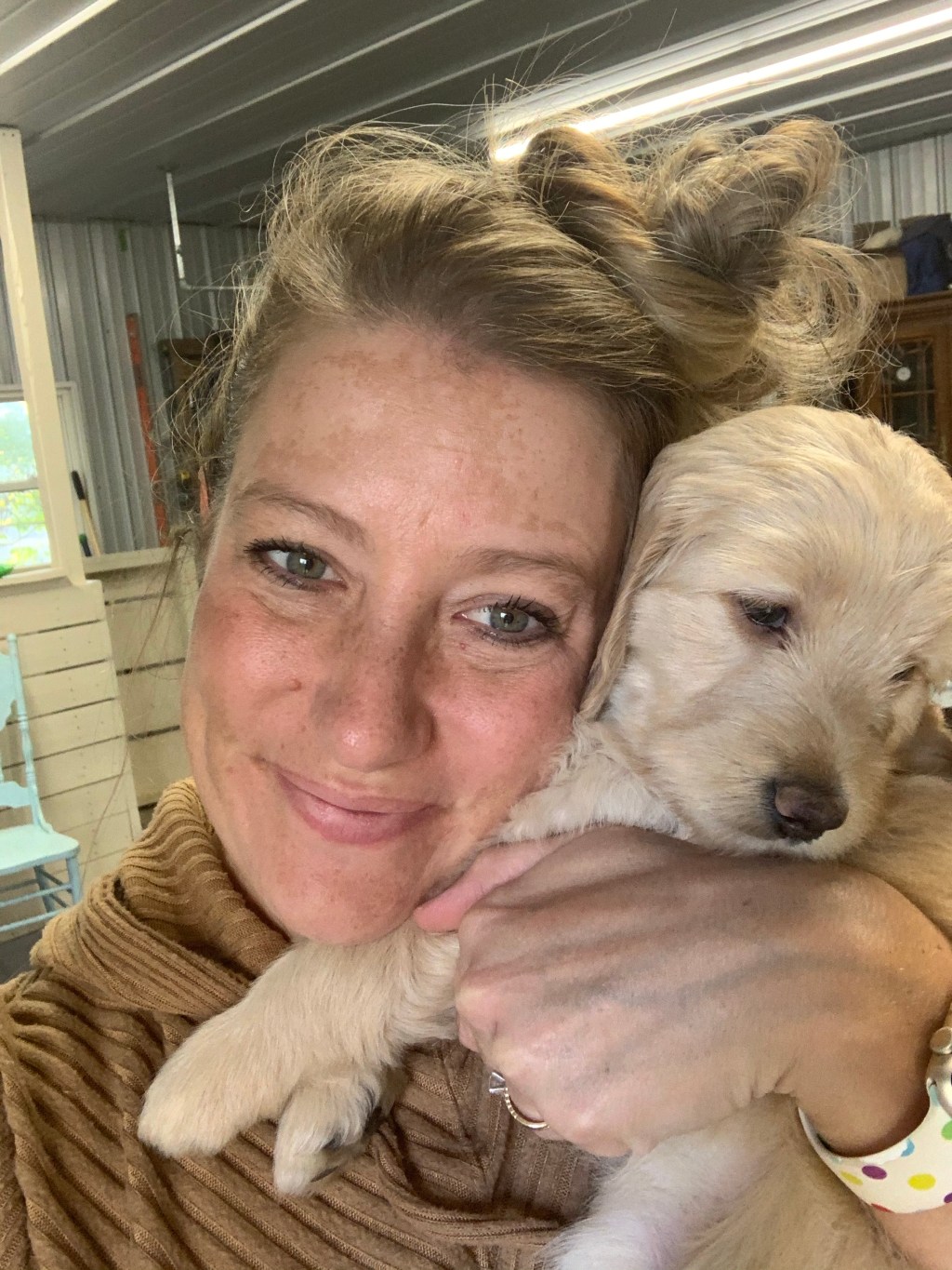 Some Facts about&nbsp;Dogs